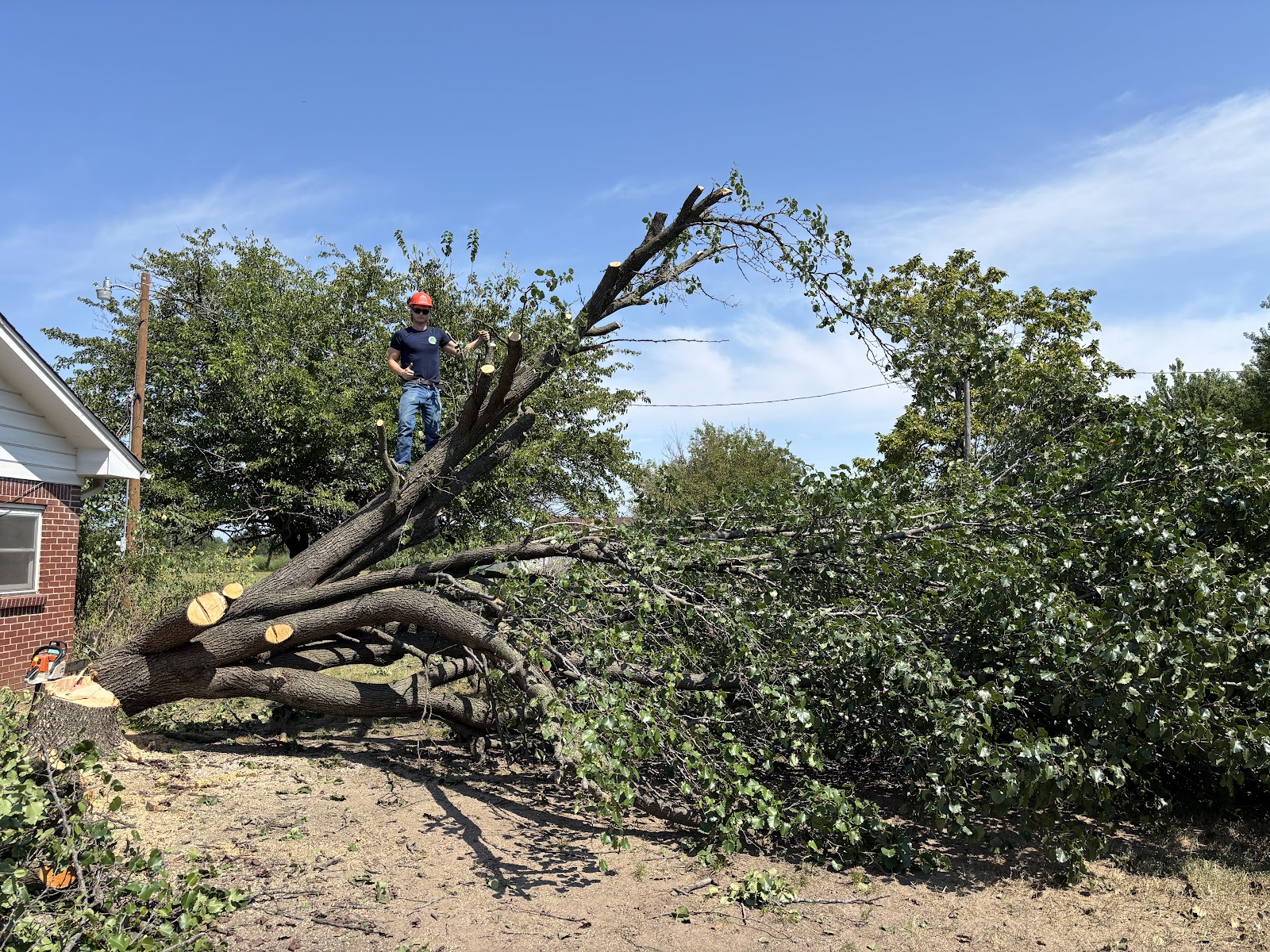 Bowers Tree Service tree service work in Tulsa