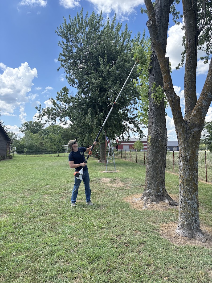 Bowers Tree Service tree service work in Tulsa